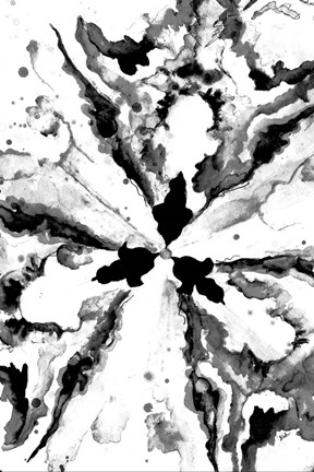 Framed Monochrome Constellation Print