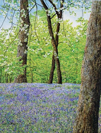 Framed Blue Bells Print