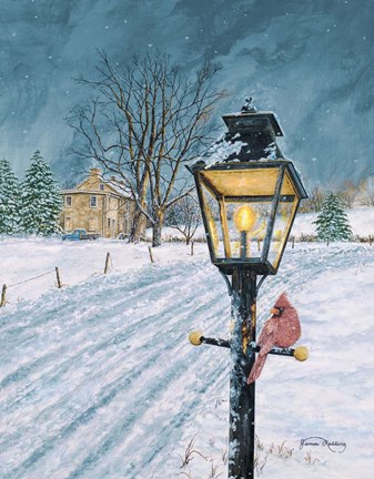 Framed Winter Bird Print