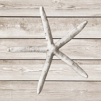 Framed Sand and Sea on Wood II Print