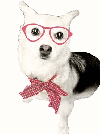 Framed Pop of Flair Print