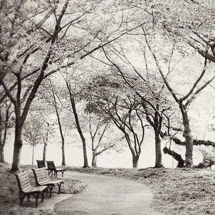 Framed Virginia Park Walk Print