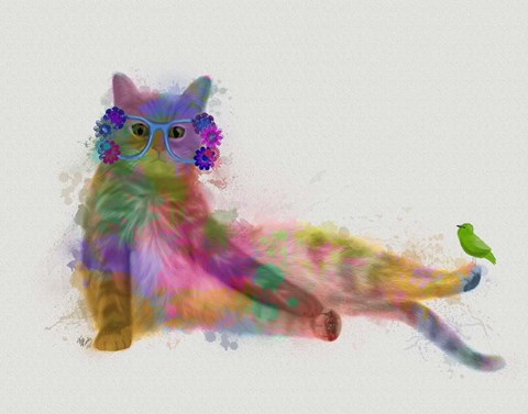 Framed Cat Rainbow Splash 10 Print
