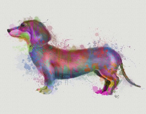 Framed Dachshund Rainbow Splash 1 Print
