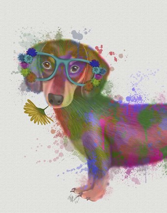 Framed Dachshund And Glasses Rainbow Splash Print