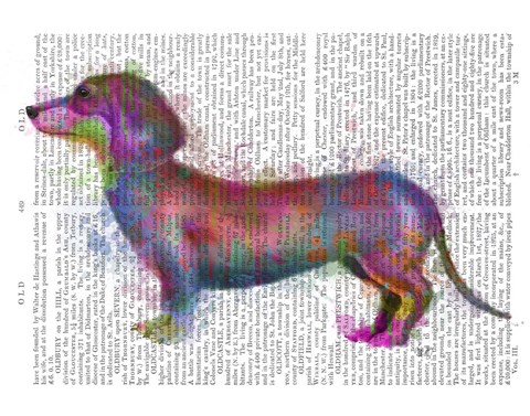 Framed Dachshund Rainbow Splash 1 Print