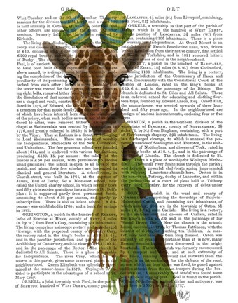 Framed Giraffe and Scarves Print