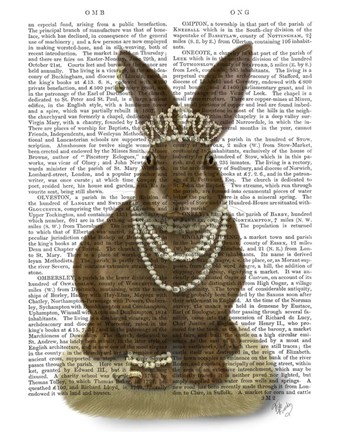 Framed Rabbit and Pearls, Full Print