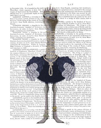 Framed Ostrich and Pearls, Full Print