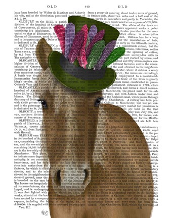 Framed Horse with Feather Hat Print