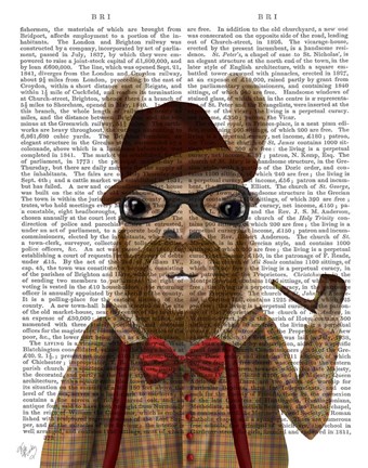 Framed Bearded Llama Print