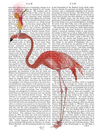 Framed Flamingo and Cocktail 4 Print