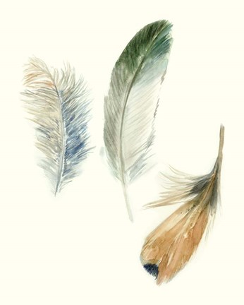 Framed Watercolor Feathers II Print