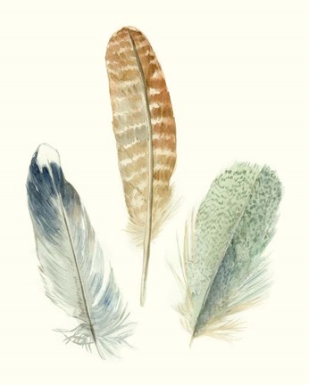 Framed Watercolor Feathers IV Print