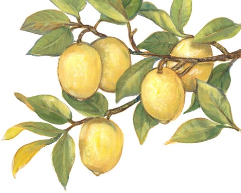 Framed Ripe for Picking I Print