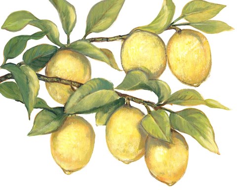 Framed Ripe for Picking II Print