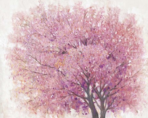 Framed Pink Cherry Blossom Tree II Print
