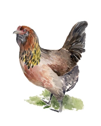 Framed Chicken Dance II Print