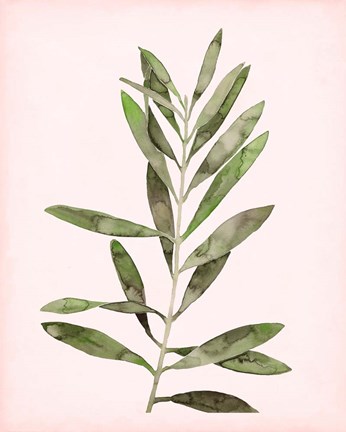 Framed Soft Pink Leaves I Print