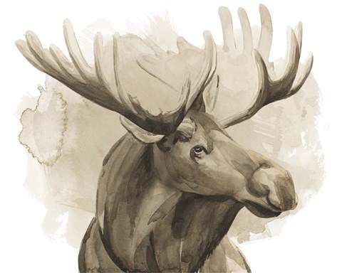 Framed Bull Moose I Print