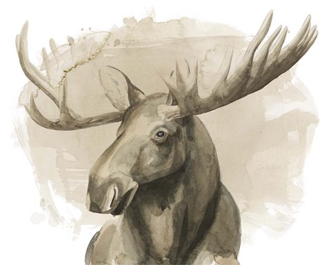 Framed Bull Moose II Print
