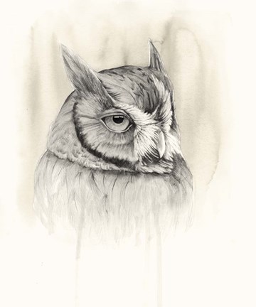 Framed Timberland Animals IV Print