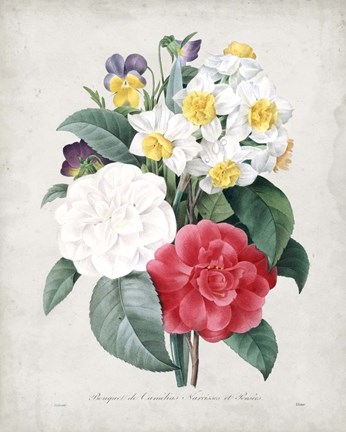 Framed Bouquet III Print