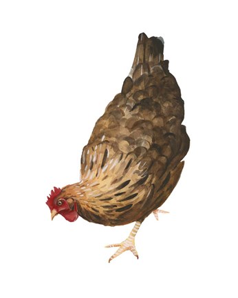 Framed Autumn Chicken II Print