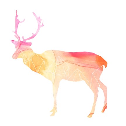 Framed Agate Animal V Print