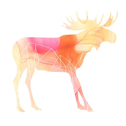 Framed Agate Animal VI Print