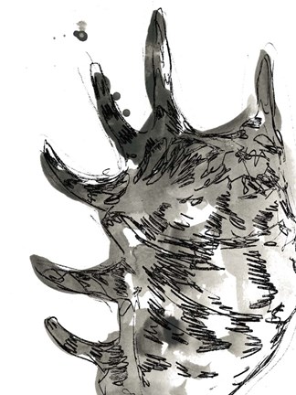 Framed Ink Coast IV Print