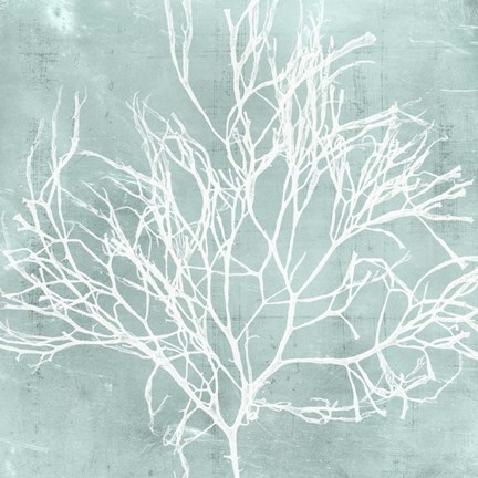 Framed Seaweed on Aqua II Print