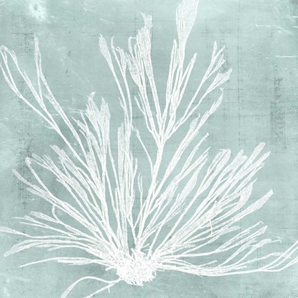 Framed Seaweed on Aqua IX Print