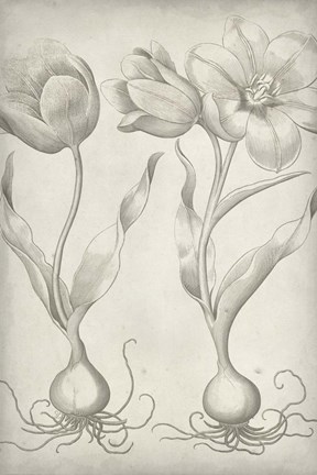 Framed Classic Romance III Print