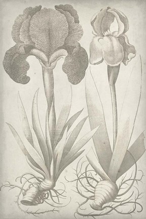 Framed Classic Romance IV Print