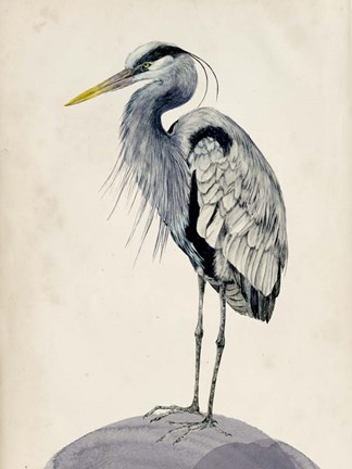 Framed Blue Heron Rendering II Print
