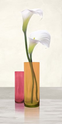 Framed Callas in crystal vases II Print