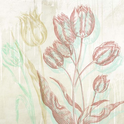 Framed Botaniques Cochin #1 (detail) Print