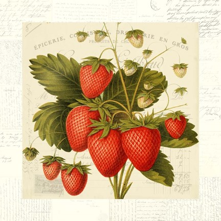 Framed Fraises Print