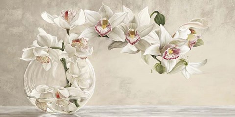 Framed Orchid Arrangement I Print
