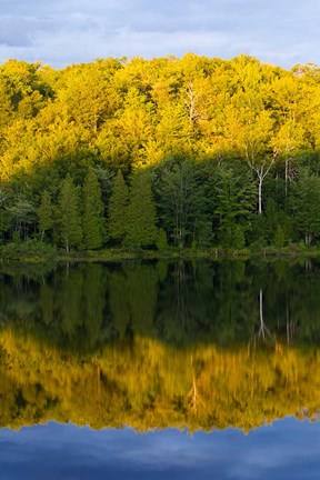 Framed Canada, Quebec, Lake Long Pond Sunset Reflection Print