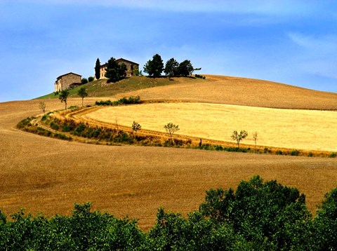 Framed Italy, Tuscany, Farmhouse And Fields Print