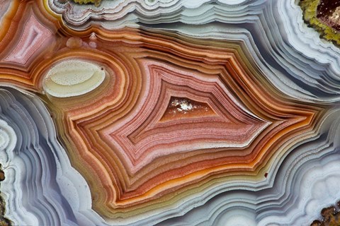 Framed Mexican Banded Agate Quartzsite, Arizona 1 Print