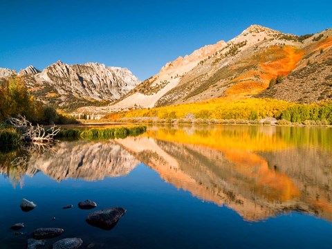 Framed California, Eastern Sierra, Fall Color Reflected In North Lake Print