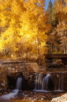 Framed Autumn Waterfalls In The Sierra Print