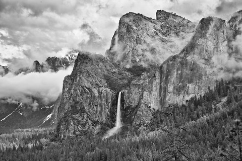 Framed California, Yosemite, Bridalveil Falls (BW) Print