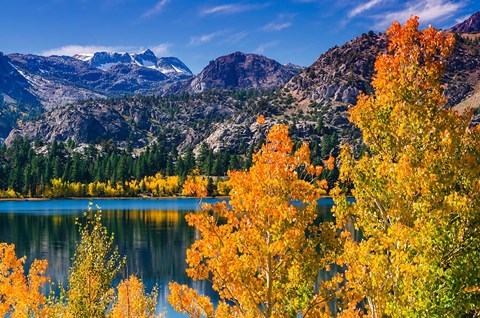 Framed Golden Fall Landscape At June Lake Print