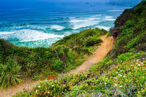 Framed Dirt Trail To Sand Dollar Beach Print