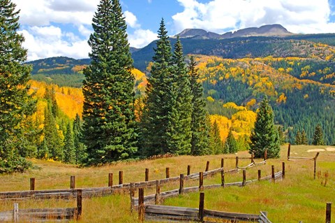 Framed Autumn Colors In The San Juan Mountains, Colorado Print