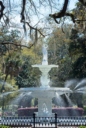 Framed Fountain In Forsyth Park, Savannah, Georgia Print